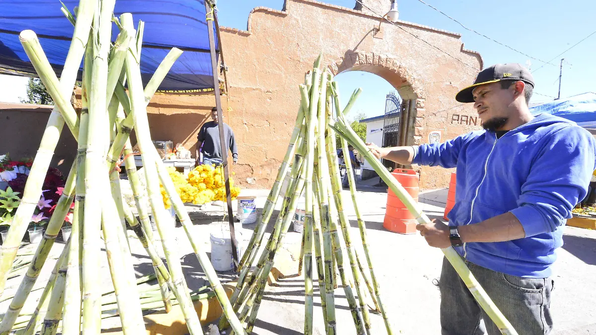 cañas en panteones  (2)