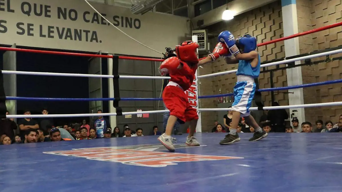 were-boxeo-foto IMCFyD (2)