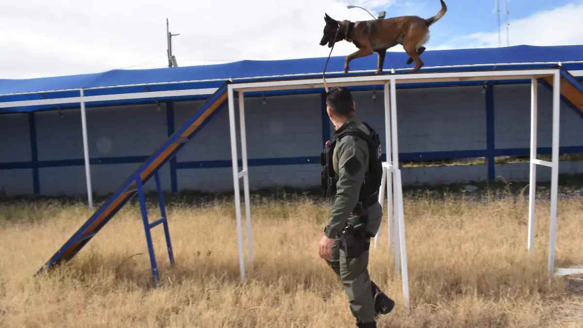 CARLOS GINER Y SU EJEMPLAR MAX (9)-PR