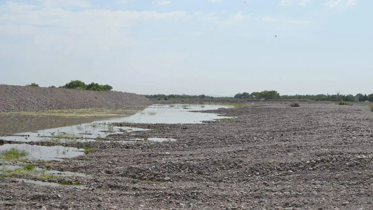 WhatsApp Image 2023-06-17 at 1.40.27 PM (1)