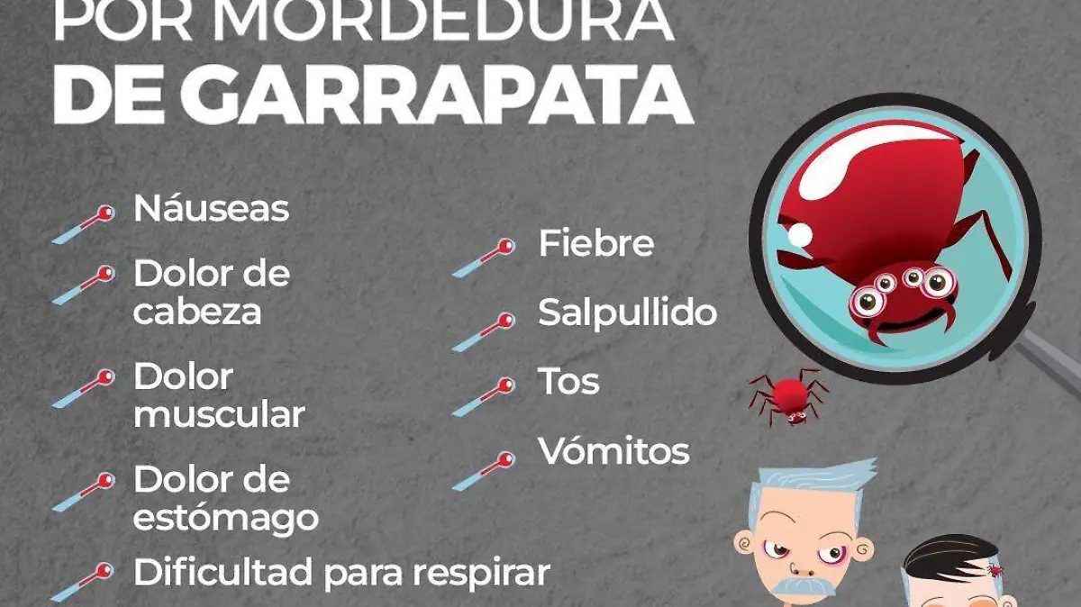 síntomas de mordedura de garrapata