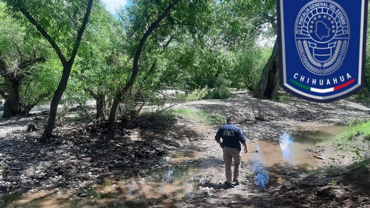 WhatsApp Image 2022-08-17 at 2.48.14 PM