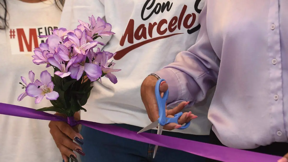 Pasaporte Violeta de Marcelo Ebrard