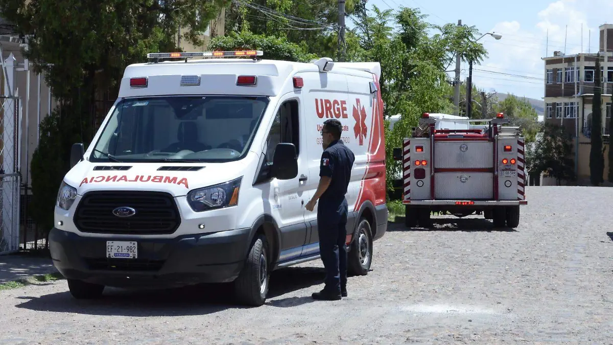 WhatsApp Image 2022-07-10 at 1.40.44 PM (1)