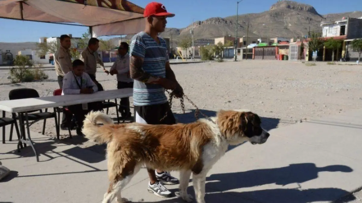 Ley de bienestar animal