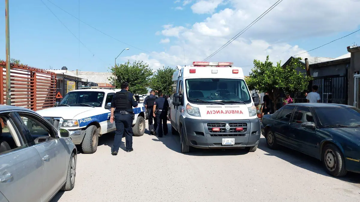 WhatsApp Image 2022-09-11 at 10.54.33 (1)