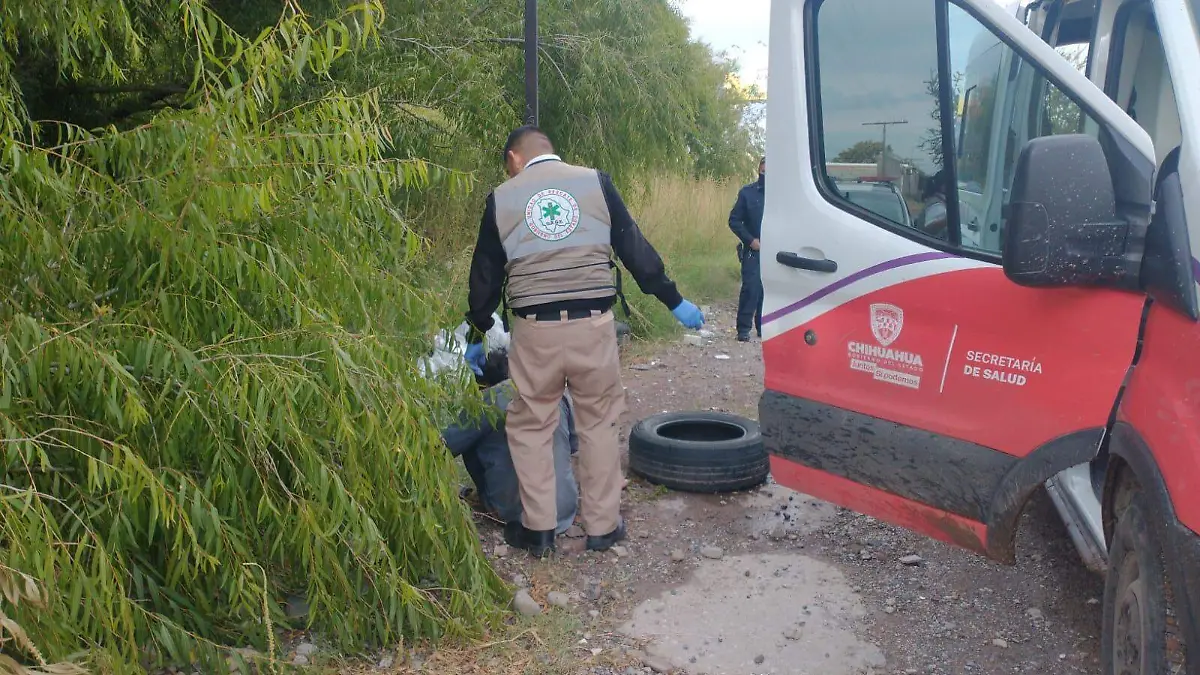 WhatsApp Image 2022-10-08 at 17.54.45