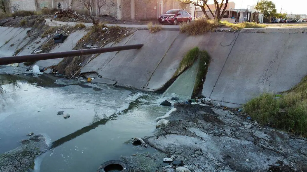 WhatsApp Image 2022-01-12 at 4.11.19 PM