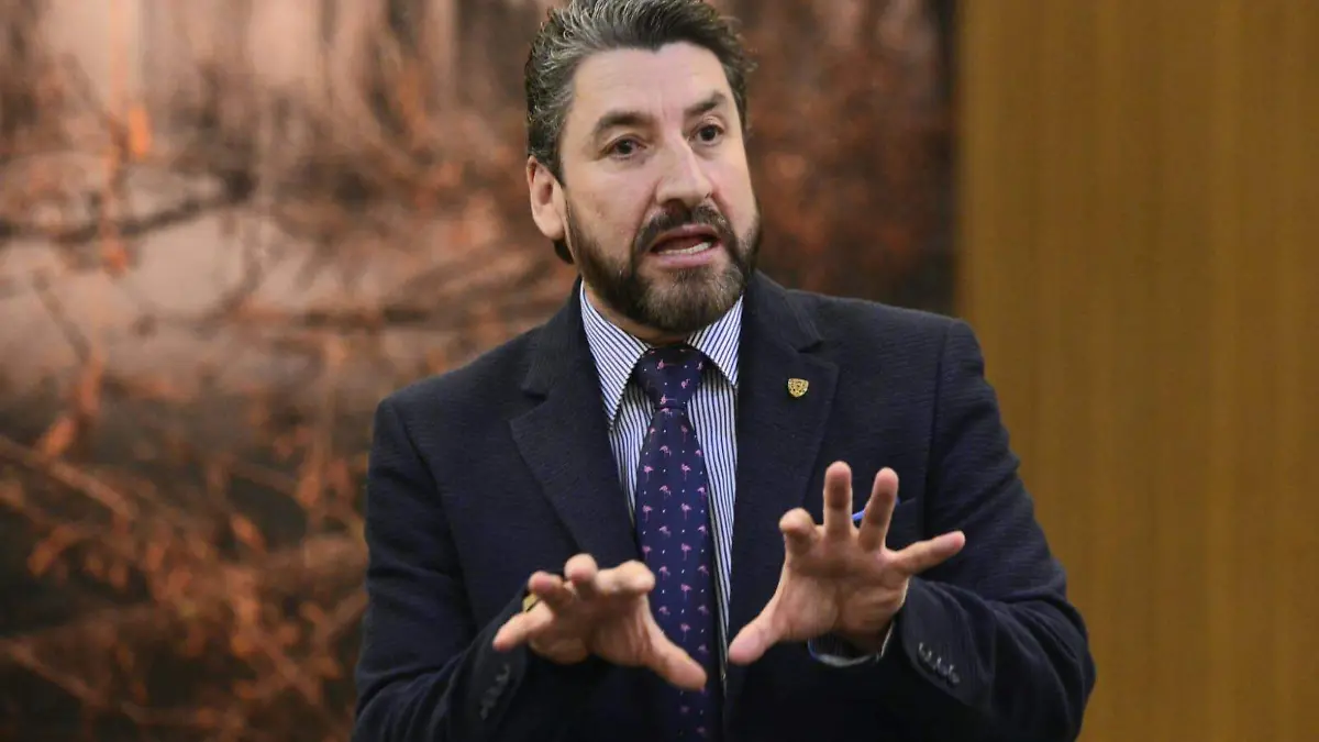 Imagen de WhatsApp 2023-02-03 a las 12.15.18