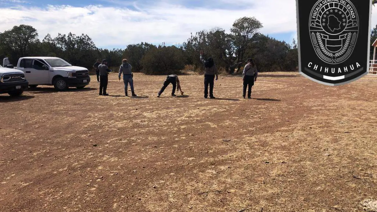 WhatsApp Image 2022-03-07 at 12.55.29 PM