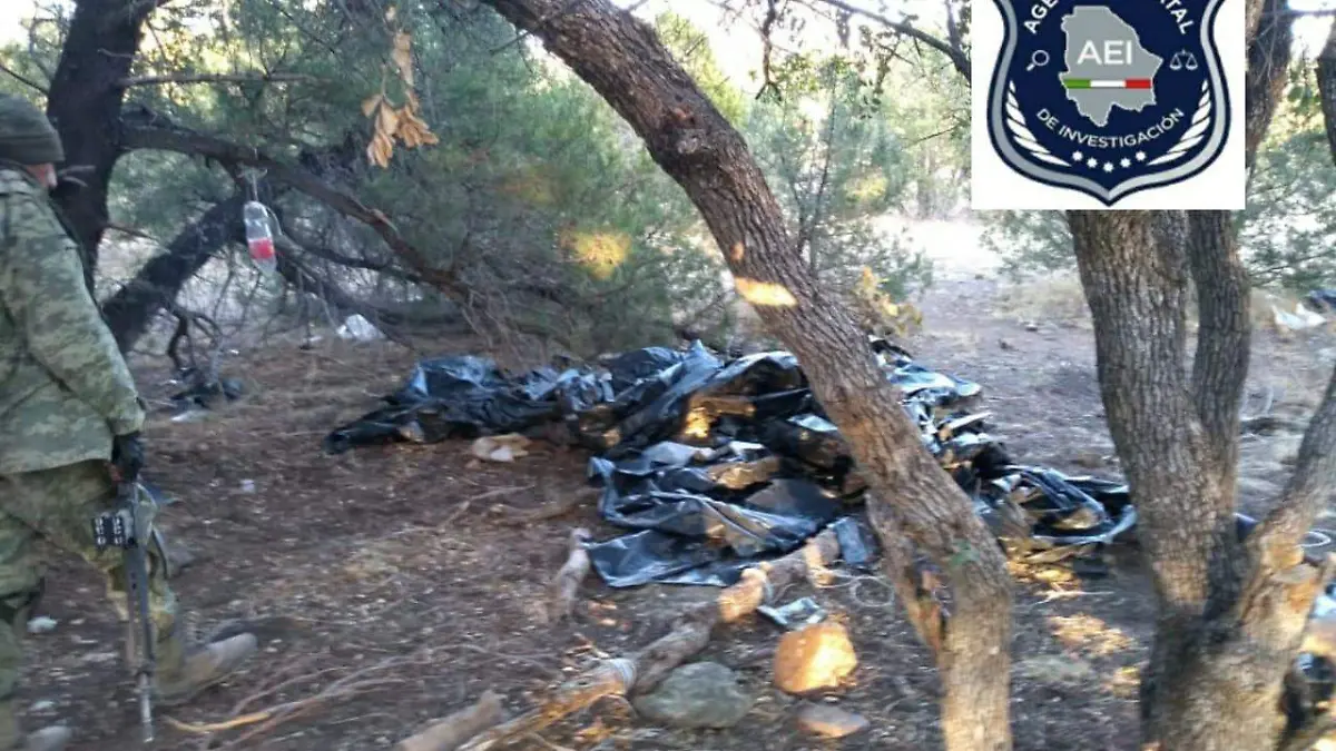 WhatsApp Image 2020-11-16 at 10.31.08 AM