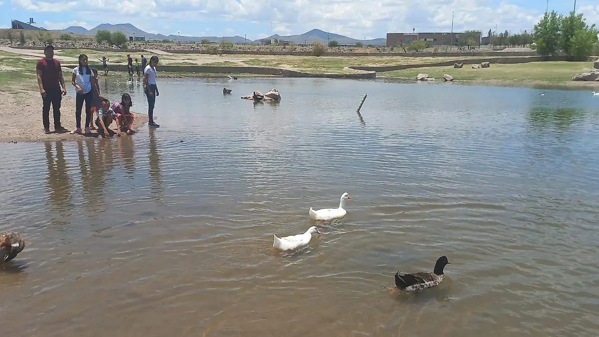 WhatsApp Image 2022-06-26 at 1.17.30 PM