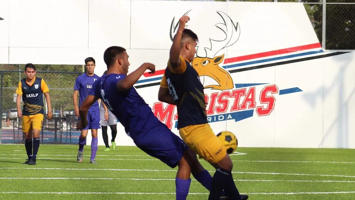 c290e8c3-eecd-4bec-86bb-3c219f4de138