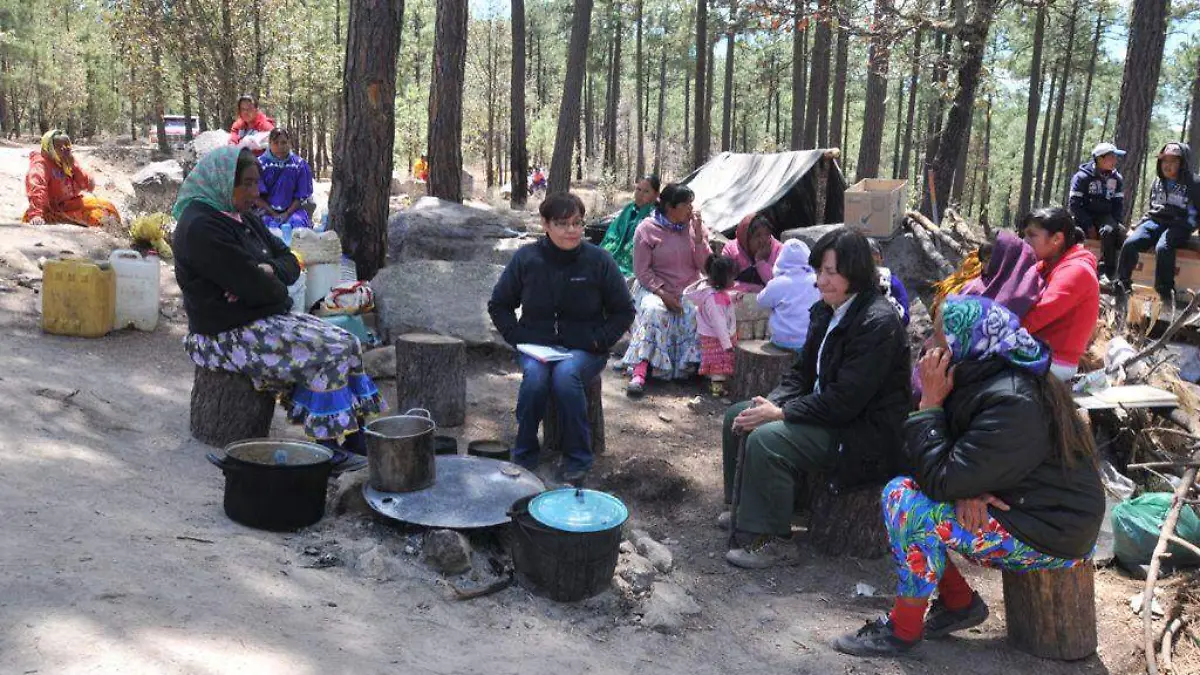 comunidad Bosque San Elías