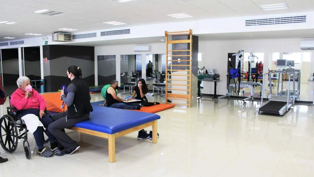 programa de envejecimiento saludable uach