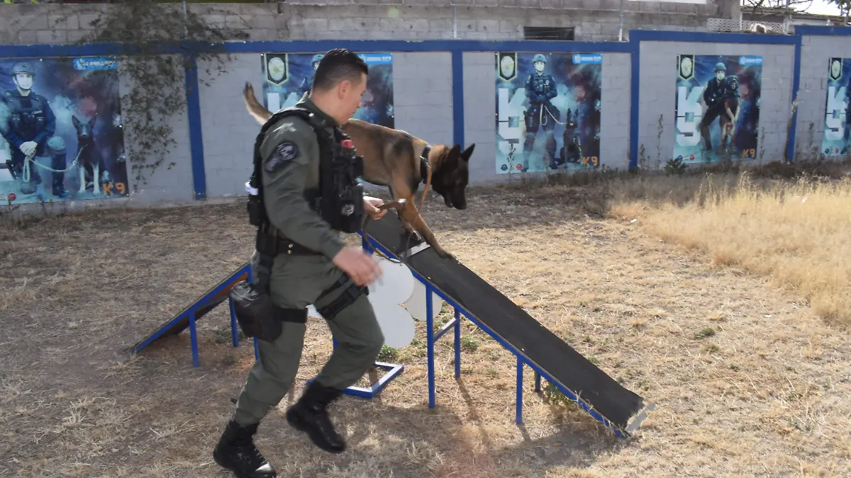 CARLOS GINER Y SU EJEMPLAR MAX (7)-PR