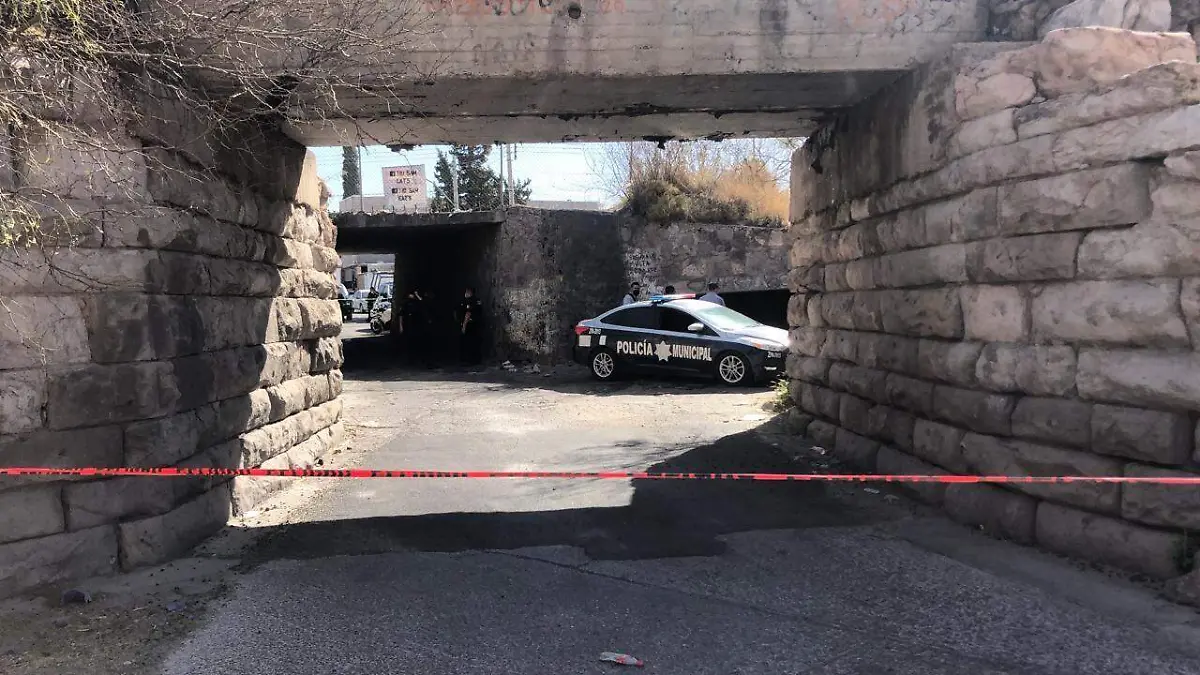 WhatsApp Image 2020-11-24 at 11.55.11 AM