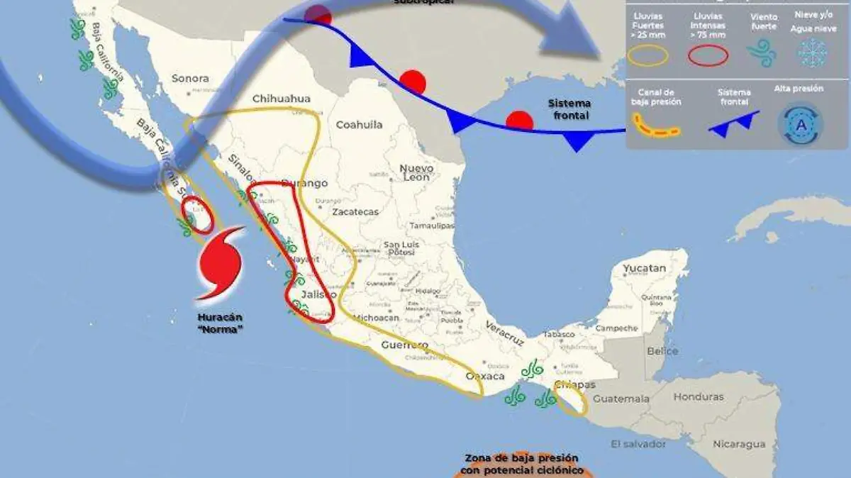 WhatsApp Image 2023-10-19 at 2.42.03 PM