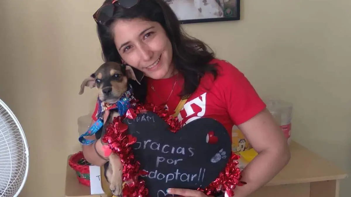 Perra Chihuahueña 2