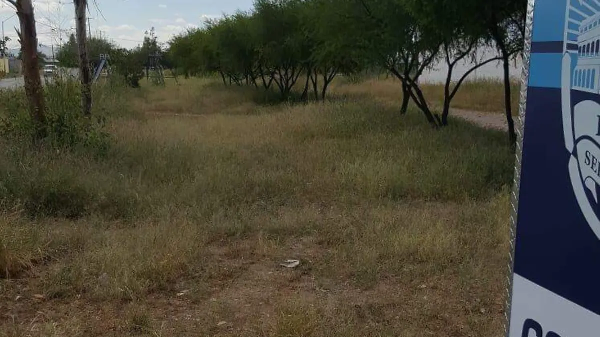 Cámaras árboles escudo chihuahua 2