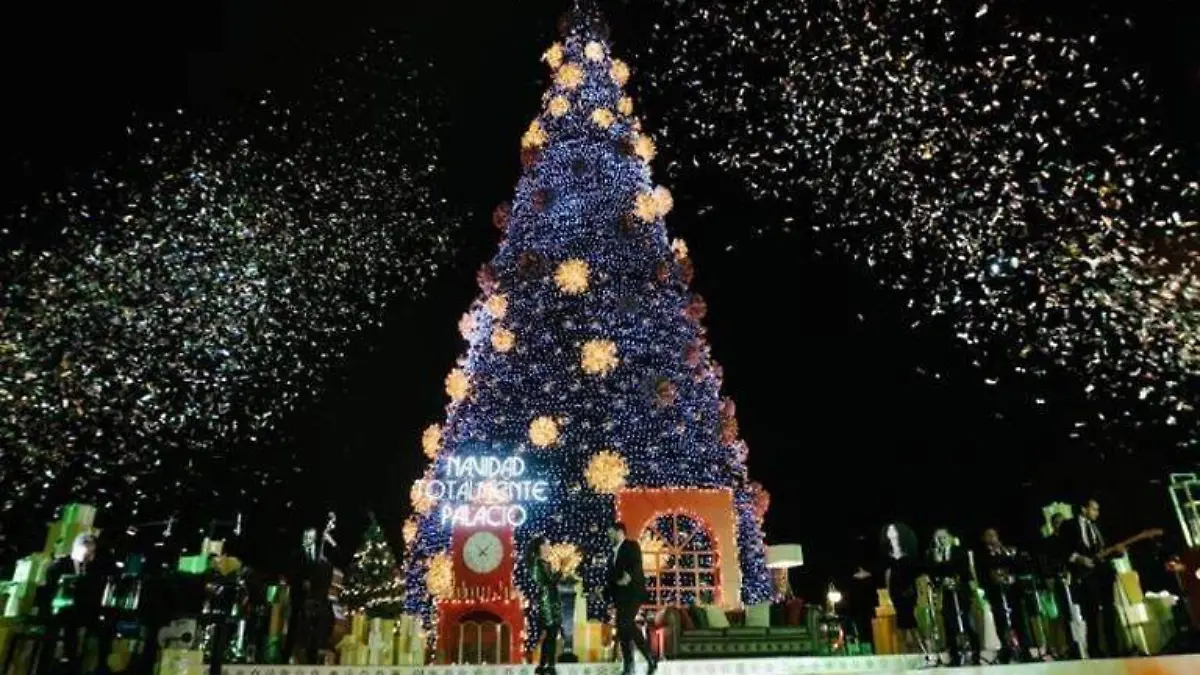 Navidad arbol sol de méxico (1)