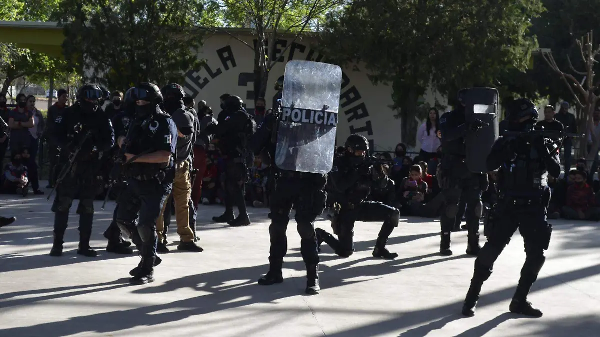 WhatsApp Image 2023-03-13 at 15.44.02