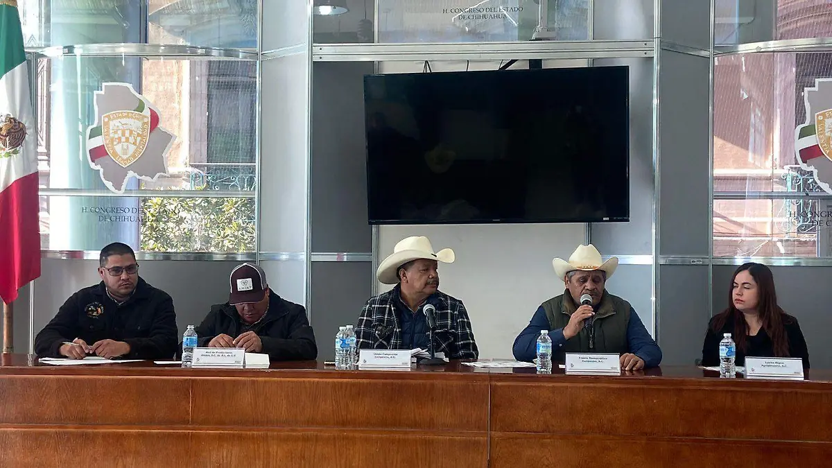 WhatsApp Image 2023-01-26 at 11.10.12 AM