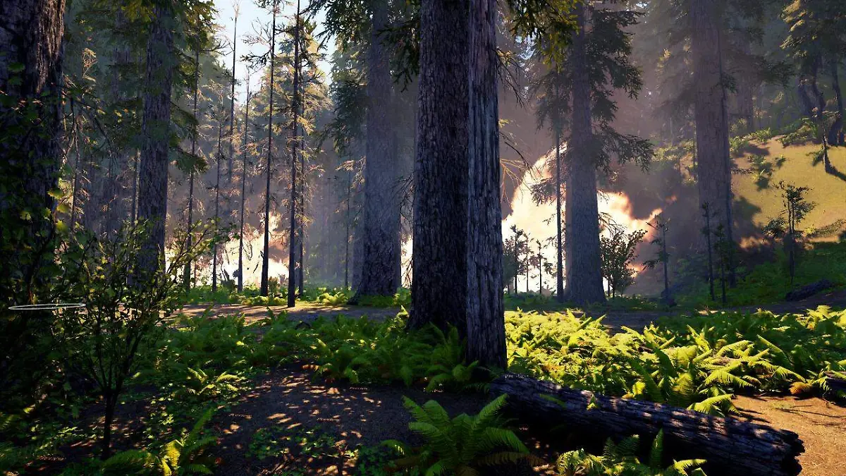 Simulador virtual (4)