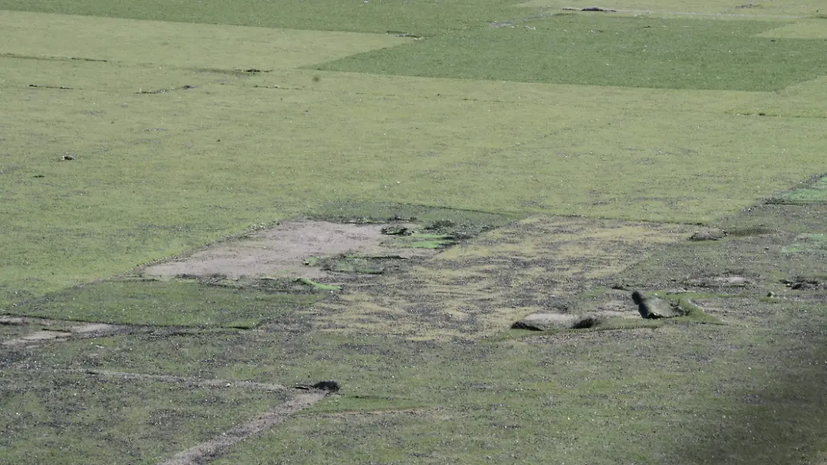 canchas de fut bol dañadas (3)