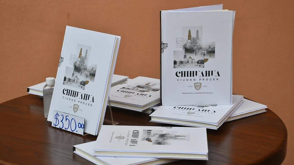 Ciudad Prócer libro