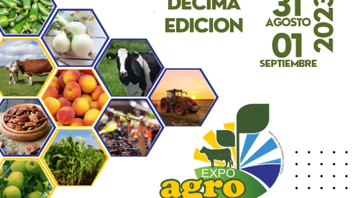 eXPO aGRO