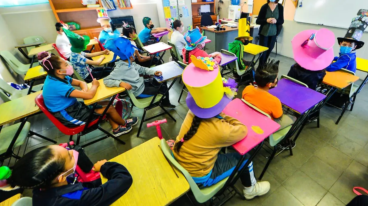 Kinder niños escuela