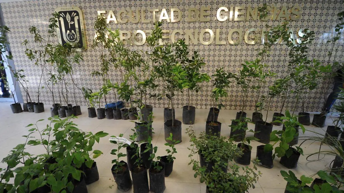 WhatsApp Image 2020-12-31 at 9.33.06 AM (1)