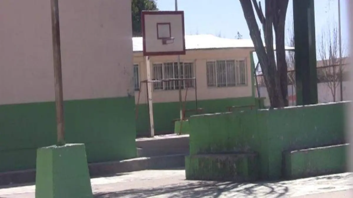 WhatsApp Image 2023-06-13 at 1.35.52 PM