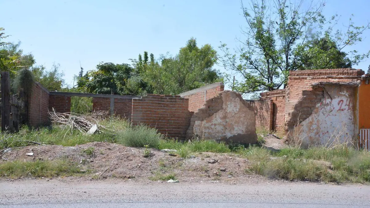 WhatsApp Image 2020-10-08 at 1.33.21 PM