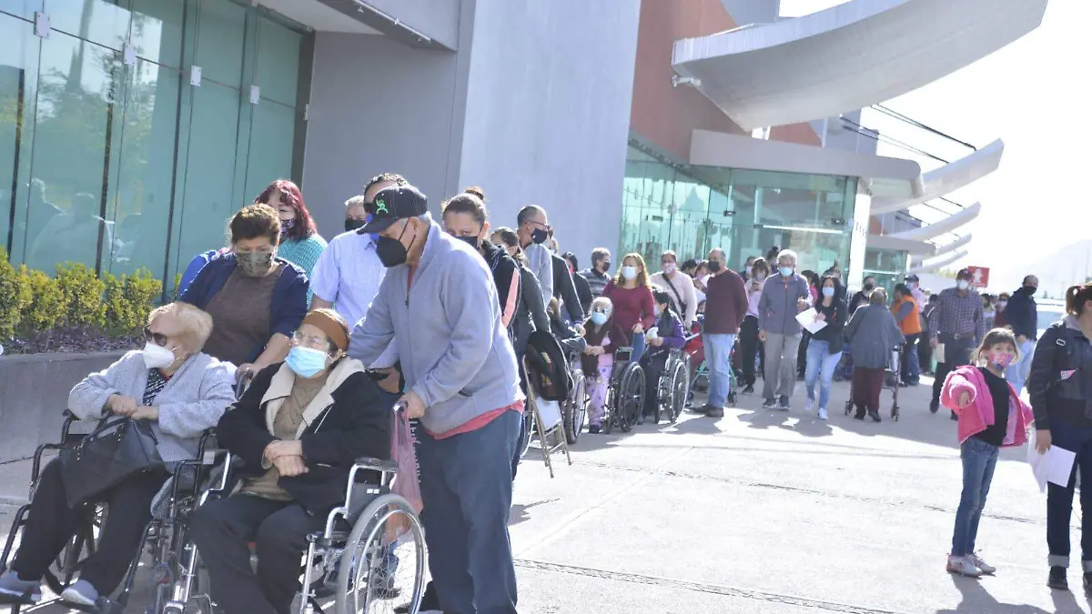 vacunas a adultos