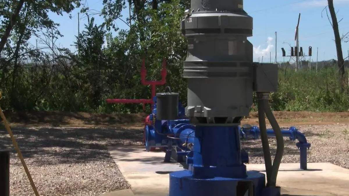 WhatsApp Image 2022-10-20 at 13.16.58