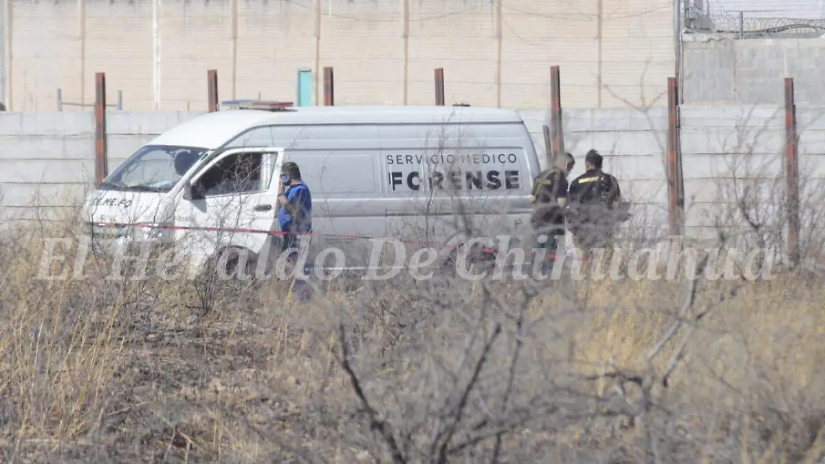 WhatsApp Image 2023-02-26 at 16.28.49 (1)