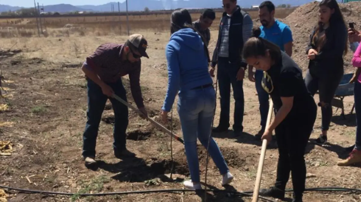 Captura de pantalla 2019-04-08 a la(s) 10.00.32