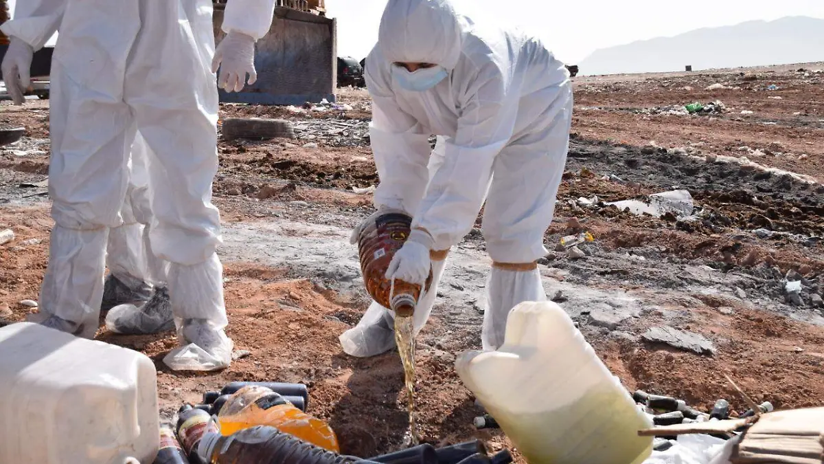 Image 2020-09-27 at 10.32.12 AM (1)