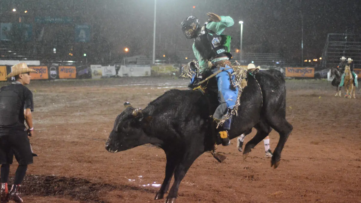 RODEO-7 COLAS