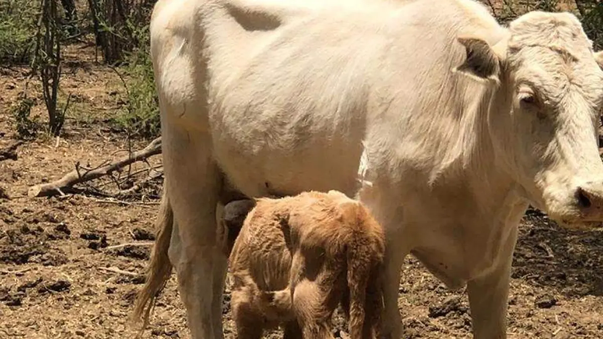 Image 2020-08-18 at 2.22.24 PM