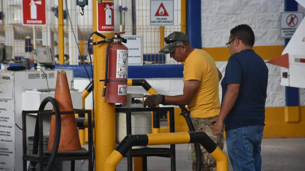 WhatsApp Image 2023-09-30 at 8.33.19 AM