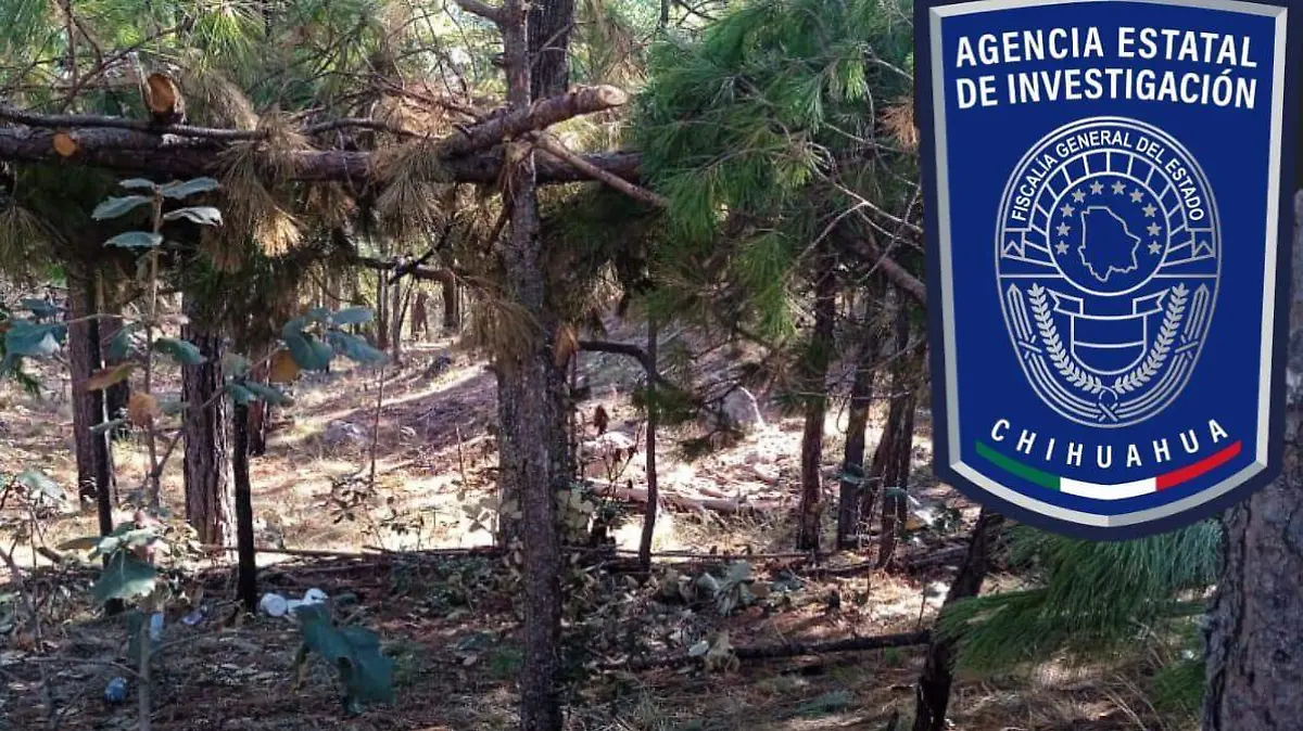 WhatsApp Image 2022-12-04 at 2.22.43 PM