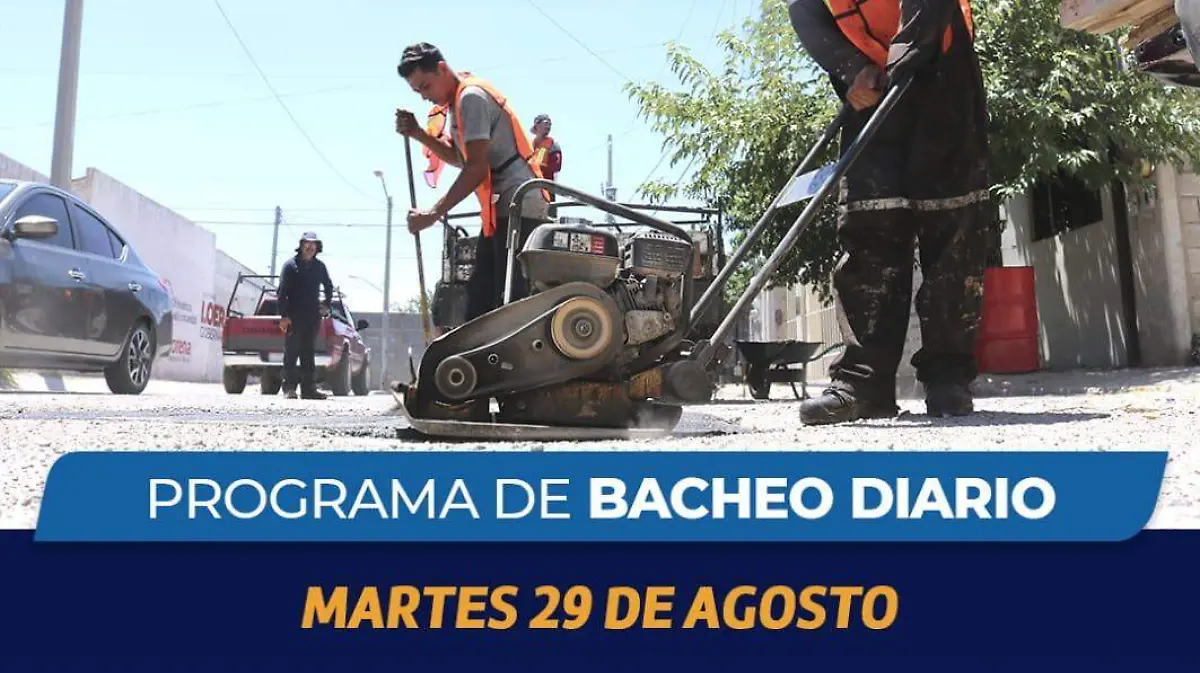 baches 