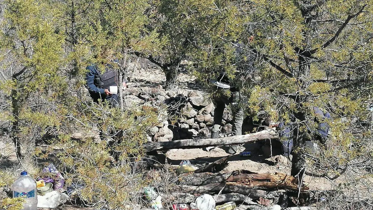 WhatsApp Image 2021-02-10 at 3.49.14 PM