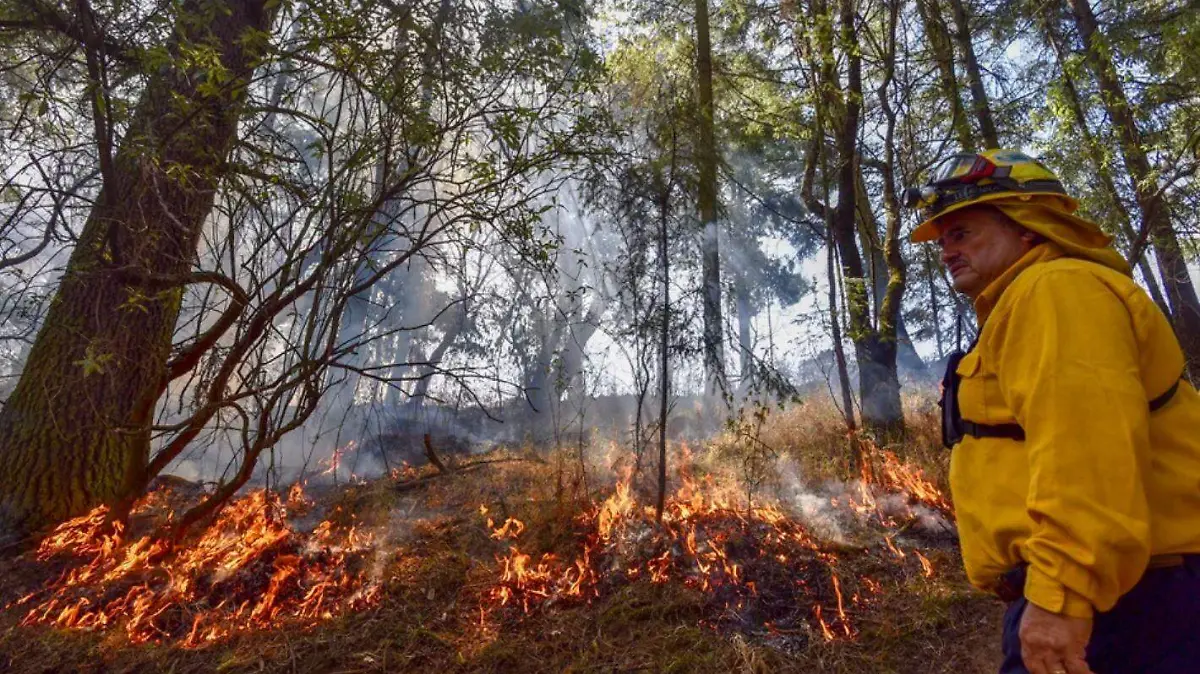 incendio forestal 1