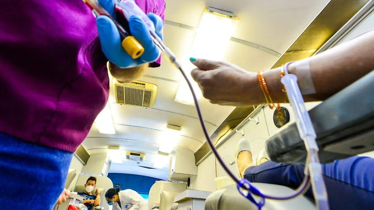 Donacion de Sangre (4)