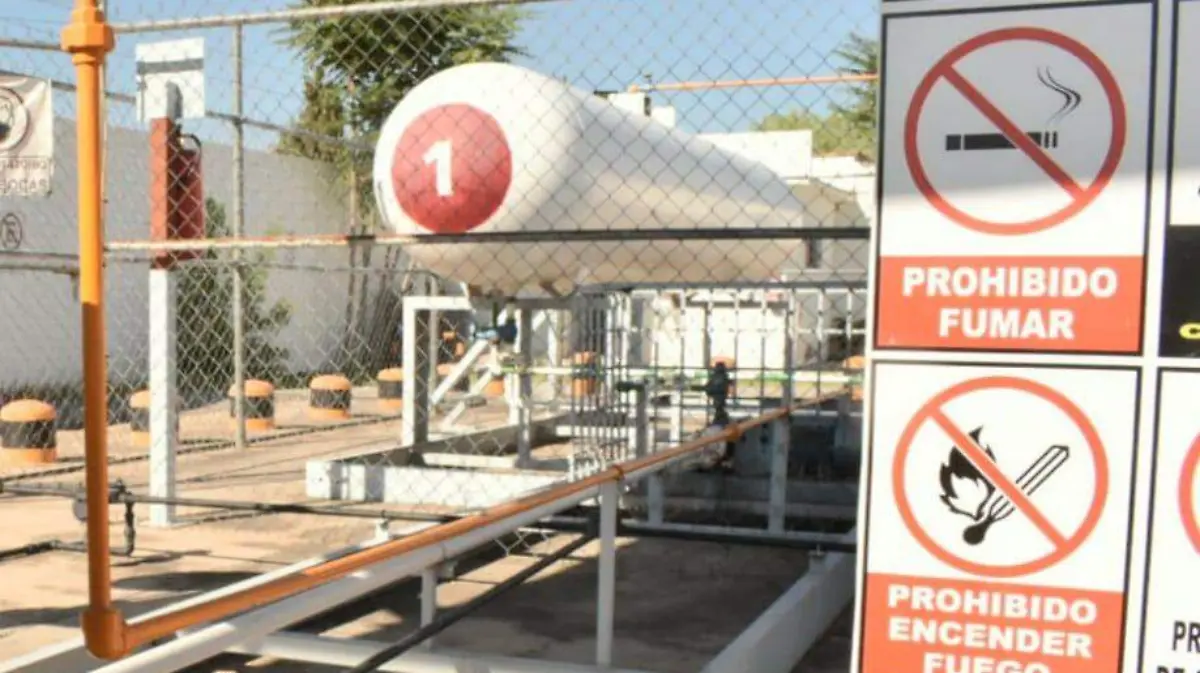 WhatsApp Image 2023-08-19 at 9.28.38 AM