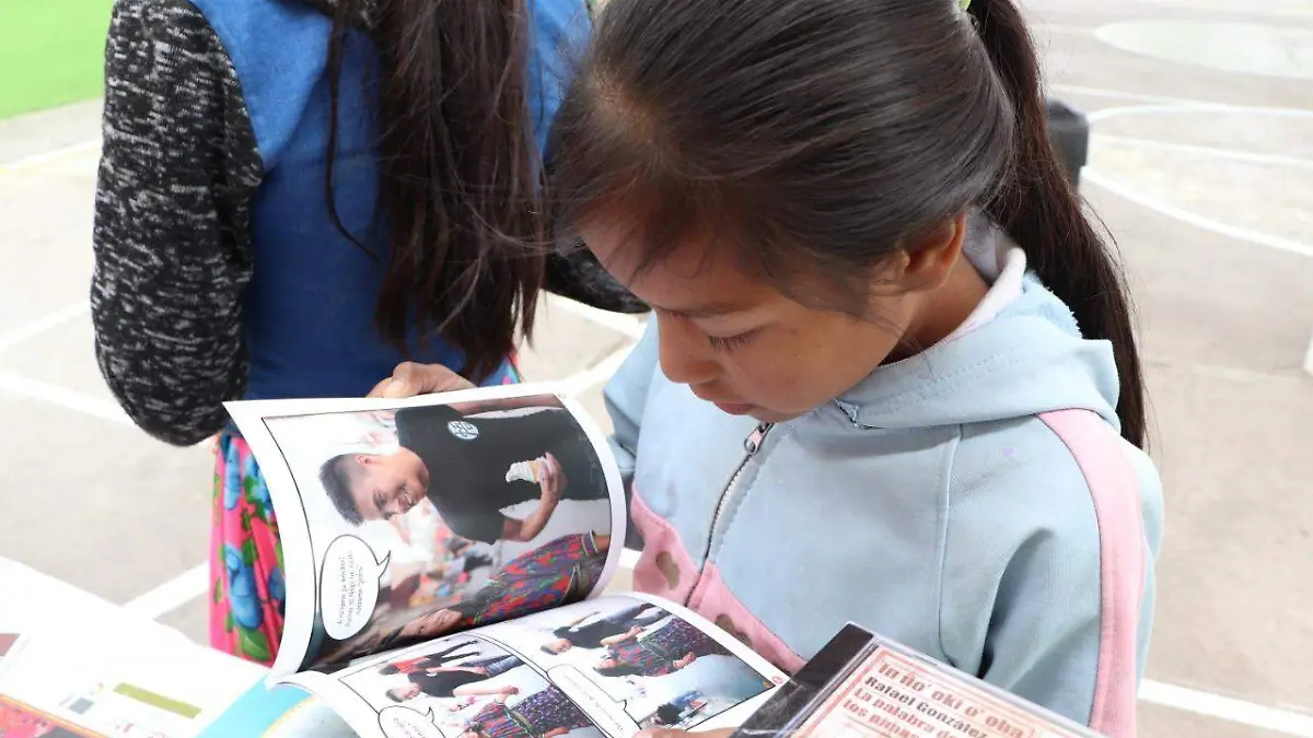 Diferencia dialecto de idioma